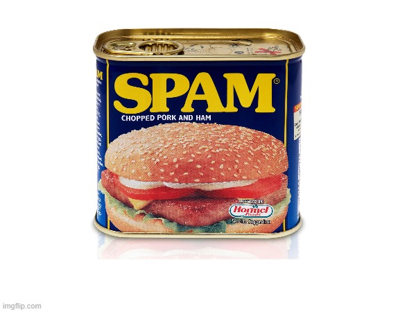Just decided to post Spam because I was bored. | image tagged in memes | made w/ Imgflip meme maker
