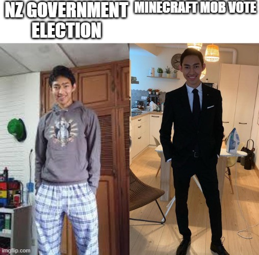 Fernanfloo Dresses Up | NZ GOVERNMENT ELECTION; MINECRAFT MOB VOTE | image tagged in fernanfloo dresses up | made w/ Imgflip meme maker