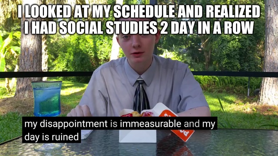My Disappointment Is Immeasurable | I LOOKED AT MY SCHEDULE AND REALIZED I HAD SOCIAL STUDIES 2 DAY IN A ROW | image tagged in my disappointment is immeasurable | made w/ Imgflip meme maker