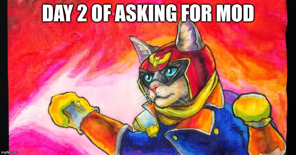falcon paw-nch | DAY 2 OF ASKING FOR MOD | made w/ Imgflip meme maker