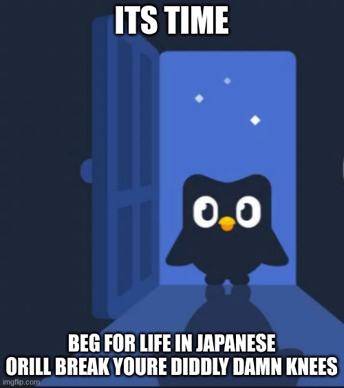 Duolingo bird | ITS TIME BEG FOR LIFE IN JAPANESE ORILL BREAK YOURE DIDDLY DAMN KNEES | image tagged in duolingo bird | made w/ Imgflip meme maker