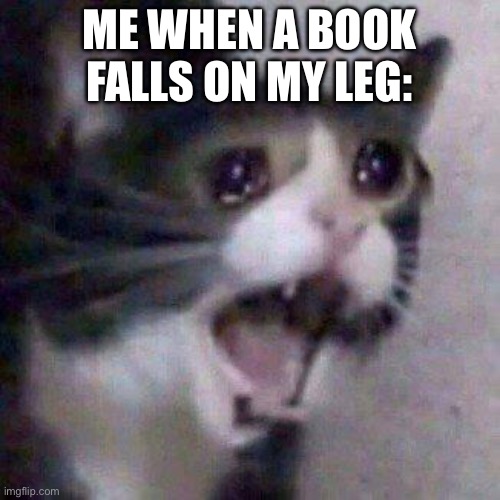 My Leg! | ME WHEN A BOOK FALLS ON MY LEG: | image tagged in cat screaming,spongebob,my leg,memes,funny memes,cats | made w/ Imgflip meme maker