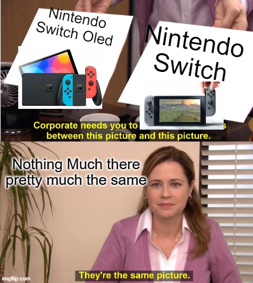 THERE THE BLOODY SAME | Nintendo Switch Oled; Nintendo Switch; Nothing Much there pretty much the same | image tagged in memes,they're the same picture | made w/ Imgflip meme maker