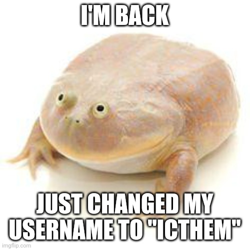 icthem here | I'M BACK; JUST CHANGED MY USERNAME TO "ICTHEM" | image tagged in wednesday frog blank,hello,welcome | made w/ Imgflip meme maker