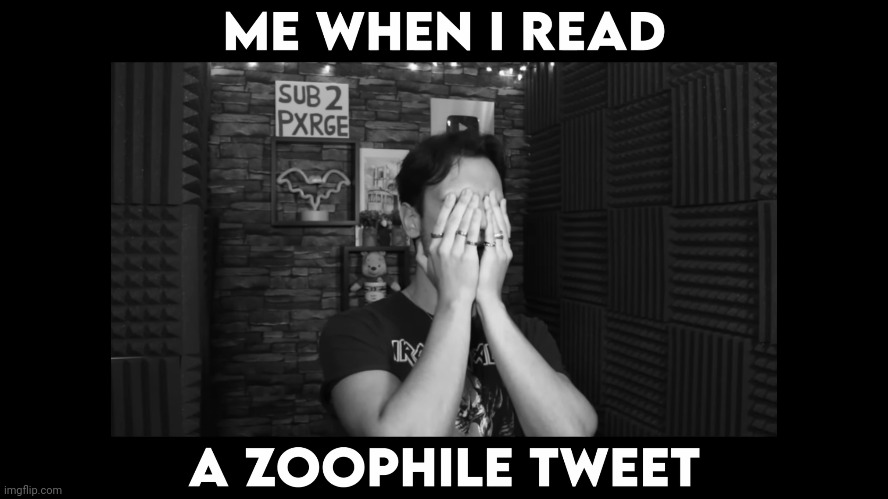 Also this guy is goated. He roasts Zoophiles. | image tagged in anti zoophiles | made w/ Imgflip meme maker