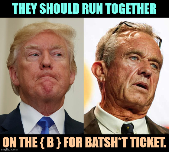 THEY SHOULD RUN TOGETHER; ON THE { B } FOR BATSH*T TICKET. | image tagged in donald trump lips pursed batshit crazy insane nuts,trump,rfk jr,crazy,insane,nuts | made w/ Imgflip meme maker