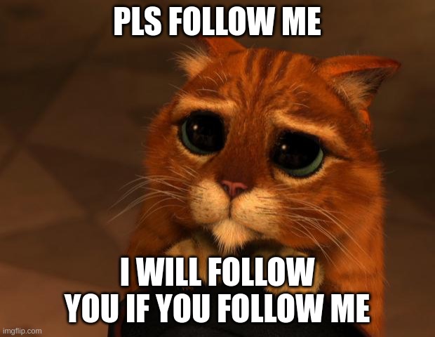 i will try to reach to you when you follow | PLS FOLLOW ME; I WILL FOLLOW YOU IF YOU FOLLOW ME | image tagged in puss in boots eyes | made w/ Imgflip meme maker
