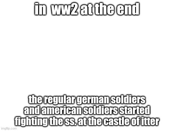 in  ww2 at the end; the regular german soldiers and american soldiers started fighting the ss. at the castle of itter | made w/ Imgflip meme maker