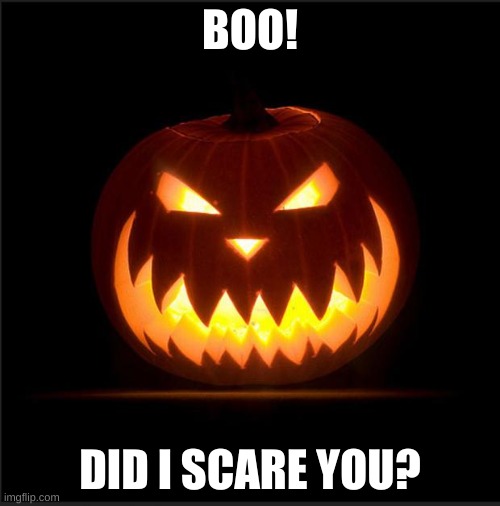 halloween | BOO! DID I SCARE YOU? | image tagged in halloween | made w/ Imgflip meme maker