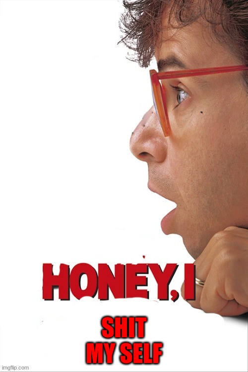honey, I x | SHIT MY SELF | image tagged in honey i x | made w/ Imgflip meme maker