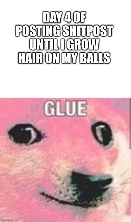 DAY 4 OF POSTING SHITPOST UNTIL I GROW HAIR ON MY BALLS | image tagged in glue | made w/ Imgflip meme maker