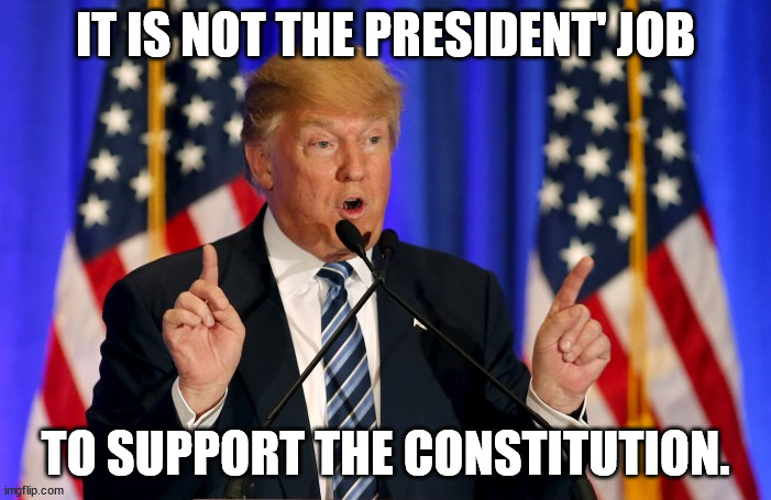Hell of a legal argument. | IT IS NOT THE PRESIDENT' JOB; TO SUPPORT THE CONSTITUTION. | image tagged in trump speech | made w/ Imgflip meme maker