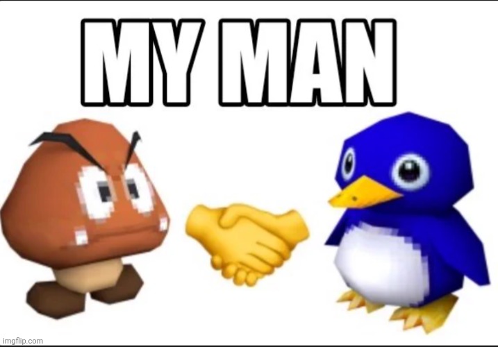 My man | image tagged in funny,memes,goomba,penguin,mario,nintendo | made w/ Imgflip meme maker