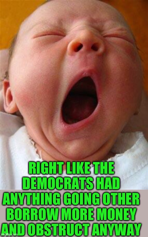Yawn | RIGHT LIKE THE DEMOCRATS HAD ANYTHING GOING OTHER BORROW MORE MONEY AND OBSTRUCT ANYWAY | image tagged in yawn | made w/ Imgflip meme maker