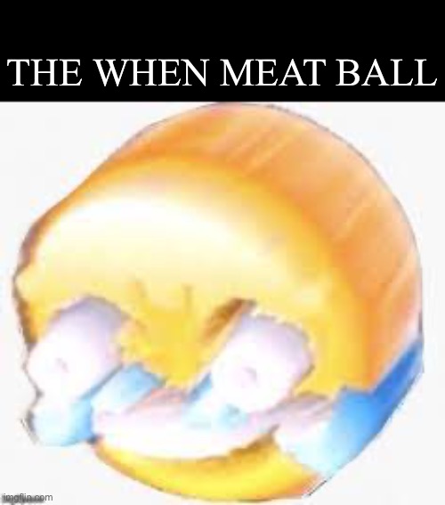 Meat ball | THE WHEN MEAT BALL | image tagged in meat ball | made w/ Imgflip meme maker