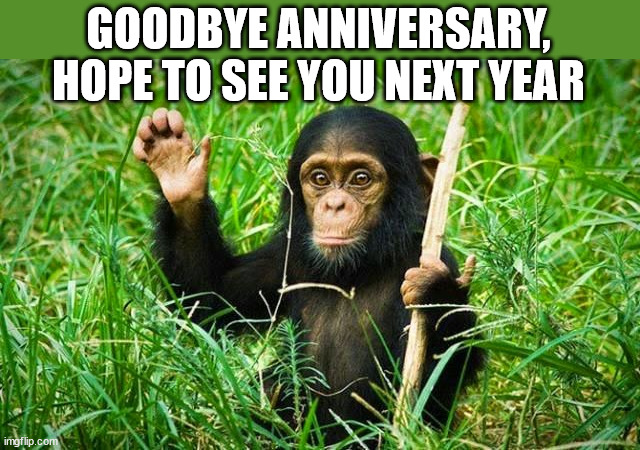 goodbye | GOODBYE ANNIVERSARY, HOPE TO SEE YOU NEXT YEAR | image tagged in goodbye | made w/ Imgflip meme maker