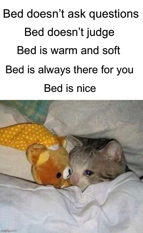 Bed | image tagged in cat | made w/ Imgflip meme maker