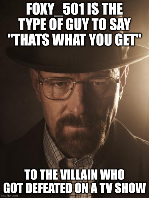Walter White | FOXY_501 IS THE TYPE OF GUY TO SAY "THATS WHAT YOU GET"; TO THE VILLAIN WHO GOT DEFEATED ON A TV SHOW | image tagged in walter white | made w/ Imgflip meme maker