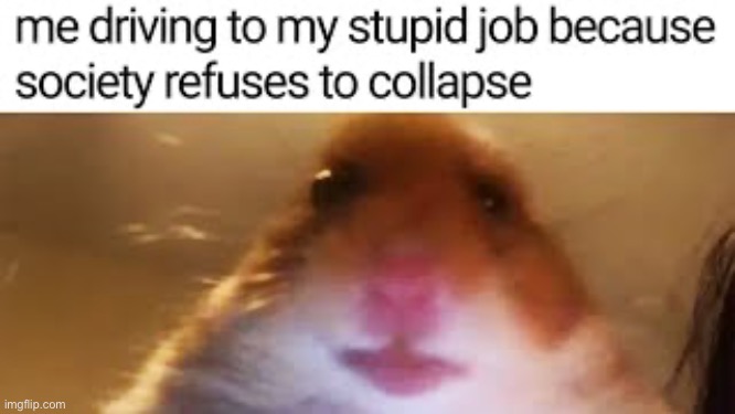 Collapse please | made w/ Imgflip meme maker