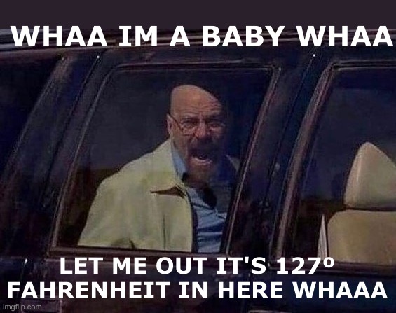 Man up mr white :/ | WHAA IM A BABY WHAA; LET ME OUT IT'S 127º FAHRENHEIT IN HERE WHAAA | image tagged in walter white screaming at hank | made w/ Imgflip meme maker
