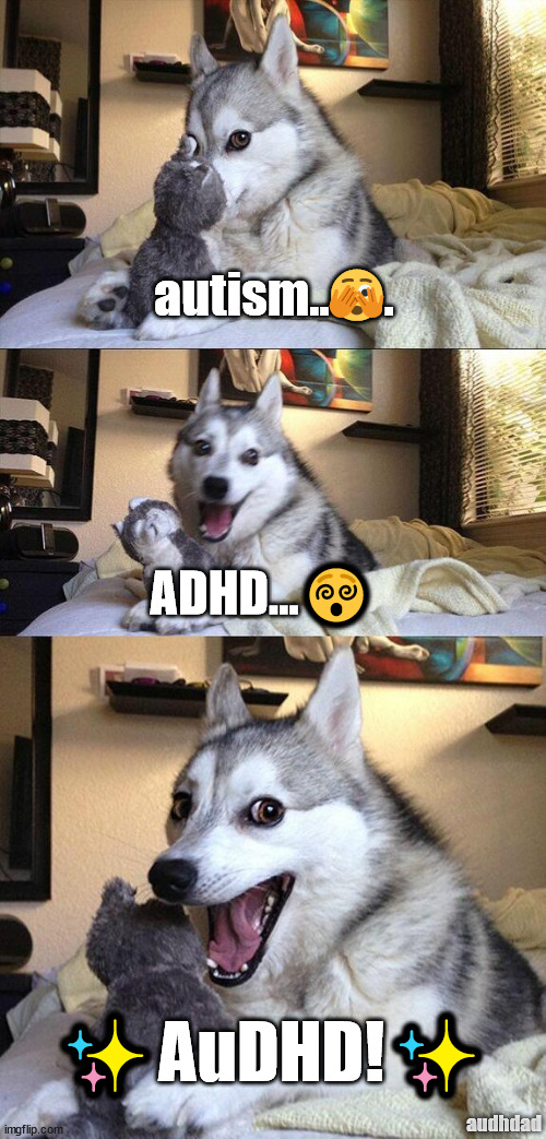 In my head this sounds like, "thunder, thunder, THUNDERCATS!" ...but with a dog. Thunderdog | autism..🫣. ADHD...😵‍; ✨AuDHD!✨; audhdad | image tagged in memes,bad pun dog,autism,adhd,audhd,thundercats | made w/ Imgflip meme maker