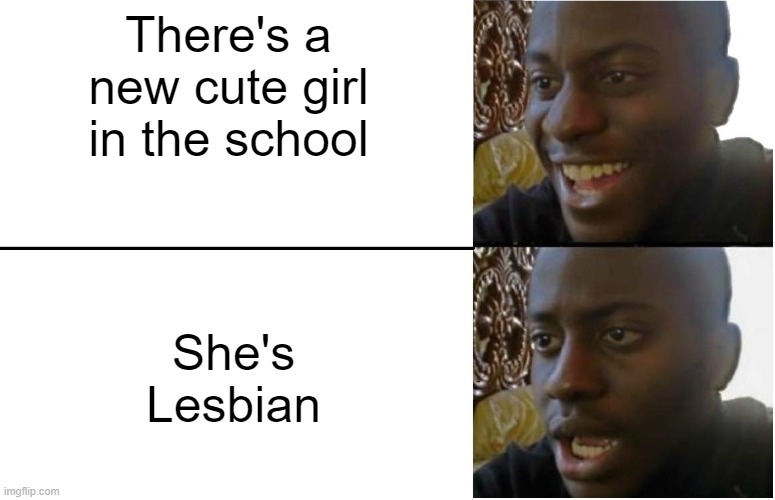 my life on girls be like. | There's a new cute girl in the school; She's Lesbian | image tagged in disappointed black guy | made w/ Imgflip meme maker