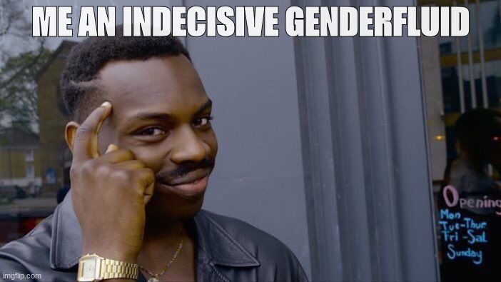 Roll Safe Think About It Meme | ME AN INDECISIVE GENDERFLUID | image tagged in memes,roll safe think about it | made w/ Imgflip meme maker