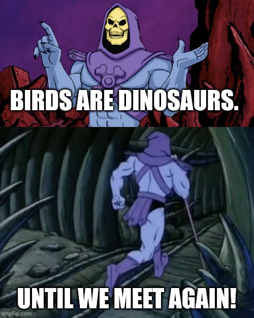 Dinosaur Meme | BIRDS ARE DINOSAURS. UNTIL WE MEET AGAIN! | image tagged in skeletor until we meet again,dinosaur,dinosaurs | made w/ Imgflip meme maker