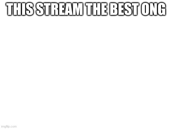 fr | THIS STREAM THE BEST ONG | made w/ Imgflip meme maker