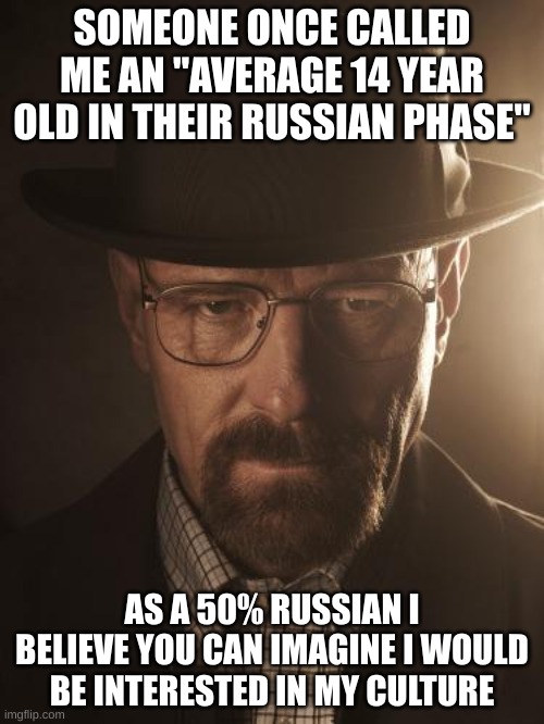 Walter White | SOMEONE ONCE CALLED ME AN "AVERAGE 14 YEAR OLD IN THEIR RUSSIAN PHASE"; AS A 50% RUSSIAN I BELIEVE YOU CAN IMAGINE I WOULD BE INTERESTED IN MY CULTURE | image tagged in walter white | made w/ Imgflip meme maker