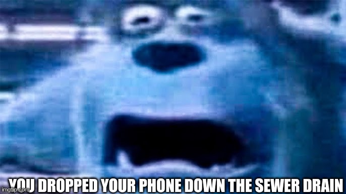 Sad | YOU DROPPED YOUR PHONE DOWN THE SEWER DRAIN | image tagged in funny | made w/ Imgflip meme maker