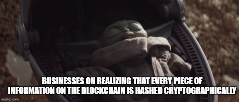 Baby Yoda Sleeping | BUSINESSES ON REALIZING THAT EVERY PIECE OF INFORMATION ON THE BLOCKCHAIN IS HASHED CRYPTOGRAPHICALLY | image tagged in baby yoda sleeping | made w/ Imgflip meme maker