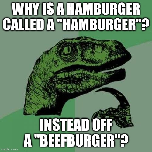 Think about it... | WHY IS A HAMBURGER CALLED A "HAMBURGER"? INSTEAD OFF A "BEEFBURGER"? | image tagged in memes,philosoraptor | made w/ Imgflip meme maker