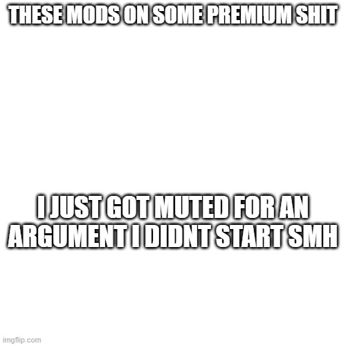 THESE MODS ON SOME PREMIUM SHIT; I JUST GOT MUTED FOR AN ARGUMENT I DIDNT START SMH | made w/ Imgflip meme maker
