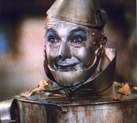 Tin Man | image tagged in tin man | made w/ Imgflip meme maker