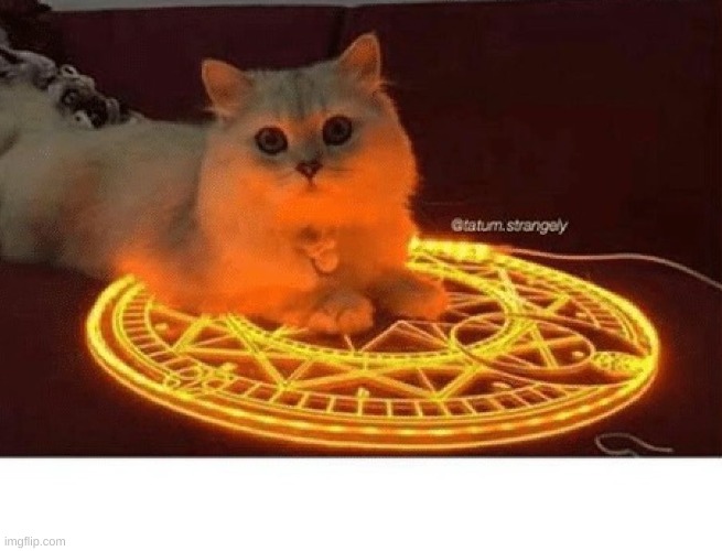 Satanic Ritual Cat, Bigger | image tagged in satanic ritual cat bigger | made w/ Imgflip meme maker