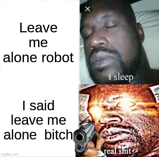 Leave me alone robot I said leave me alone  bitch | image tagged in memes,sleeping shaq | made w/ Imgflip meme maker