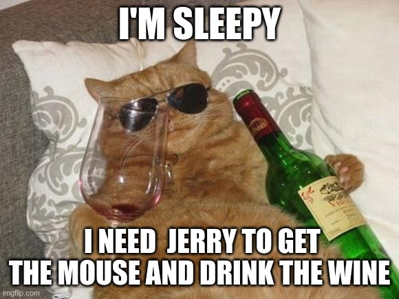 I'M SLEEPY I NEED  JERRY TO GET THE MOUSE AND DRINK THE WINE | image tagged in funny cat birthday | made w/ Imgflip meme maker