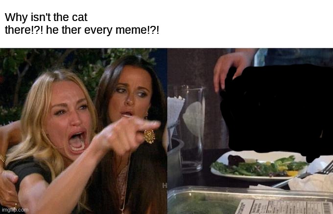 Woman Yelling At Cat Meme | Why isn't the cat there!?! he ther every meme!?! | image tagged in memes,woman yelling at cat | made w/ Imgflip meme maker