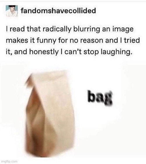 Bag | made w/ Imgflip meme maker