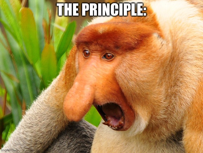 Janusz monkey screaming | THE PRINCIPLE: | image tagged in janusz monkey screaming | made w/ Imgflip meme maker