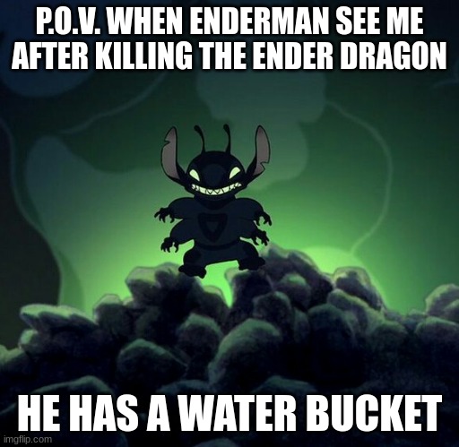 Stitch | P.O.V. WHEN ENDERMAN SEE ME AFTER KILLING THE ENDER DRAGON; HE HAS A WATER BUCKET | image tagged in stitch | made w/ Imgflip meme maker
