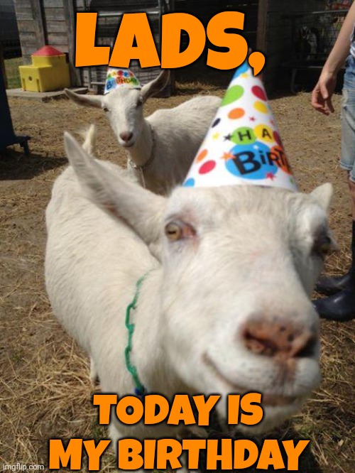 Ｂｉｒｔｈ | LADS, TODAY IS MY BIRTHDAY | image tagged in goat | made w/ Imgflip meme maker