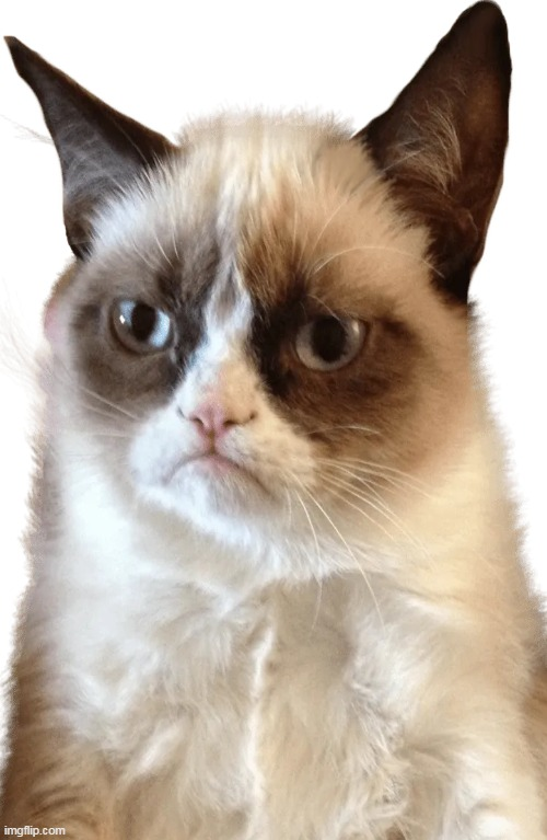 Grumpy Cat Blank Meme Template