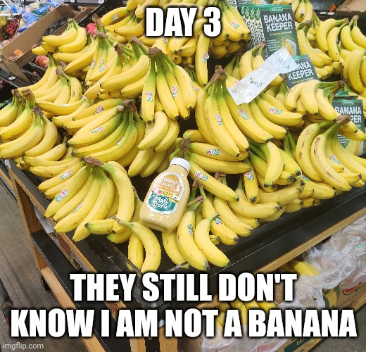 DAY 3; THEY STILL DON'T KNOW I AM NOT A BANANA | made w/ Imgflip meme maker