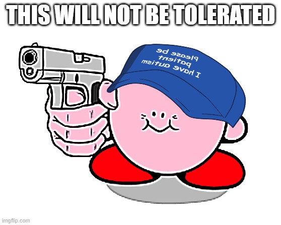 Kirby with a gun | THIS WILL NOT BE TOLERATED | image tagged in kirby with a gun | made w/ Imgflip meme maker