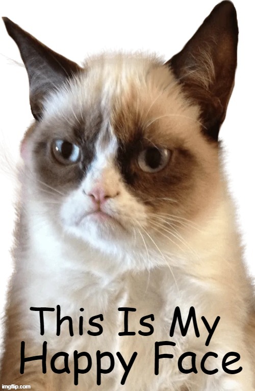Grumpy Cat Truth | This Is My; Happy Face | image tagged in grumpy cat,happy,attitude,happy face,optimist,pessimist | made w/ Imgflip meme maker