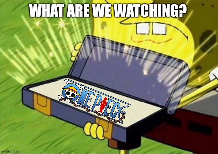 One Piece | WHAT ARE WE WATCHING? | image tagged in spongebob,one piece | made w/ Imgflip meme maker