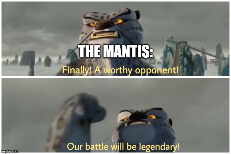 Our Battle Will Be Legendary | THE MANTIS: | image tagged in our battle will be legendary | made w/ Imgflip meme maker