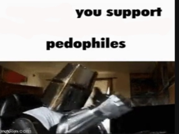You support pedophiles | image tagged in repost if you support beating the shit out of pedophiles | made w/ Imgflip meme maker